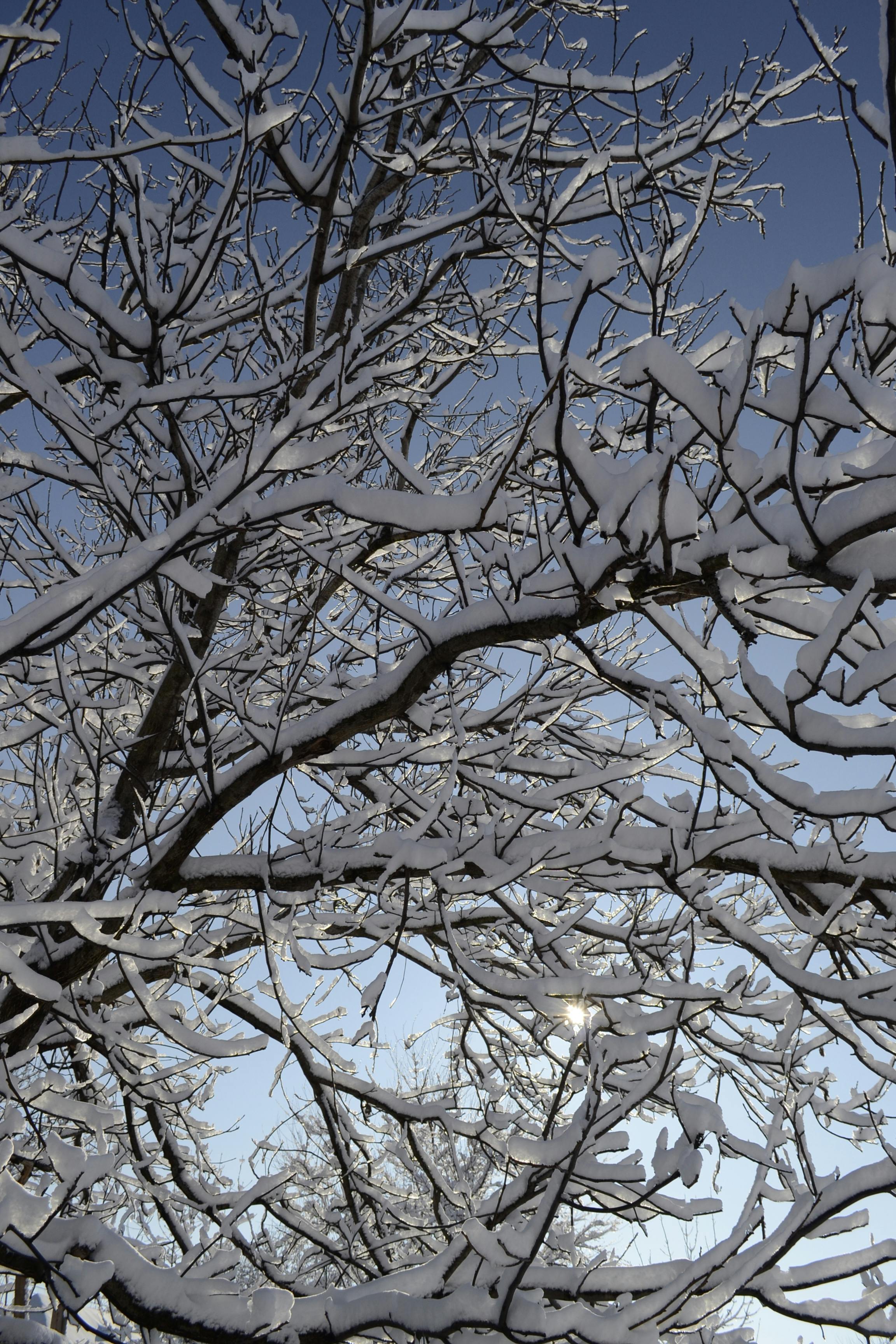 Callejón encantador en el casco antiguo de Tiflis