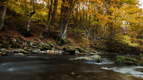 Gratis arkivbilde med bg, bulgaria, bulgarsk natur