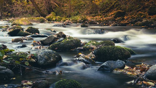 A Creek Flowing Over Stones