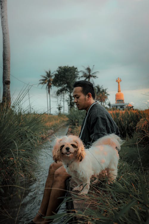 Fotos de stock gratuitas de bali, campo de arroz, granja