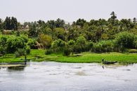 Lush vegetation alongside the Nile with traditional boats on a sunny day.