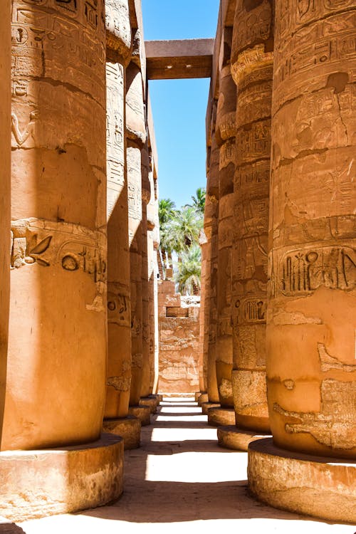 Foto profissional grátis de ancião, colunas, complexo do templo de karnak