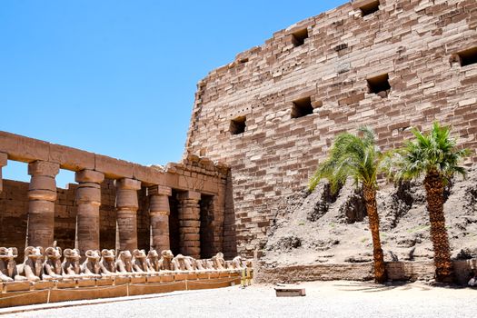 Karnak Temple with Egyptologist — Luxor