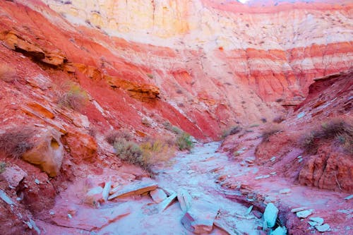 Gratis stockfoto met canyon, detailopname, landschap