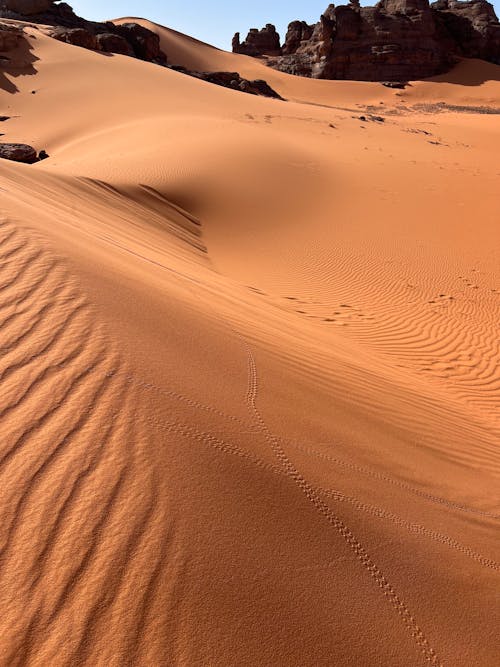 Foto d'estoc gratuïta de arrugues, desert, duna