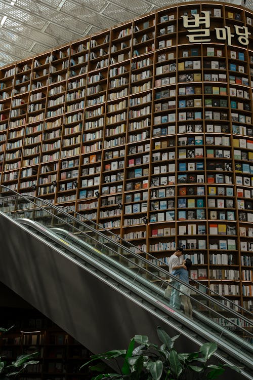 Kostenloses Stock Foto zu bibliothek, bücher, buchladen