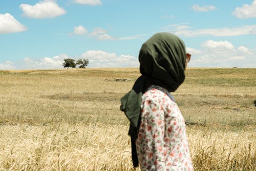 Photos gratuites de campagne, été, femme