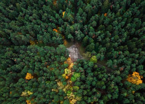 Stunning aerial view of dense forest in Minsk, Belarus with vivid autumn colors.