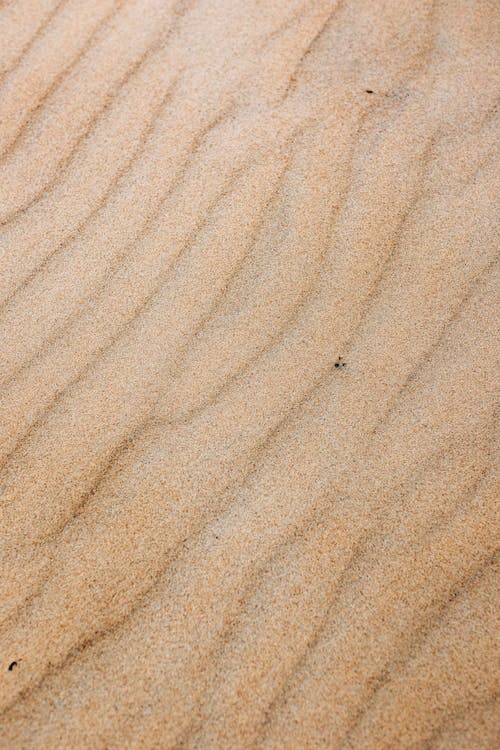 Rippled Desert Sand