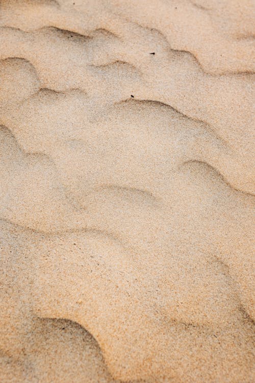 Ripple Marks on Desert Sand