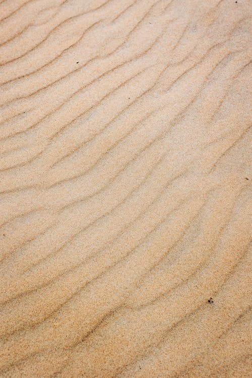 Wind Ripples on Desert Sand