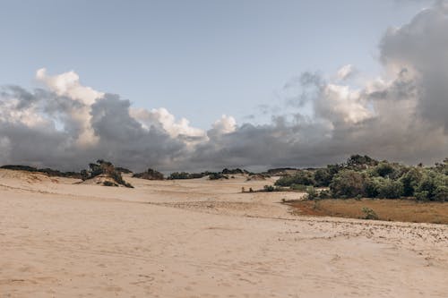 Fotobanka s bezplatnými fotkami na tému Brazília, cestovať, duny