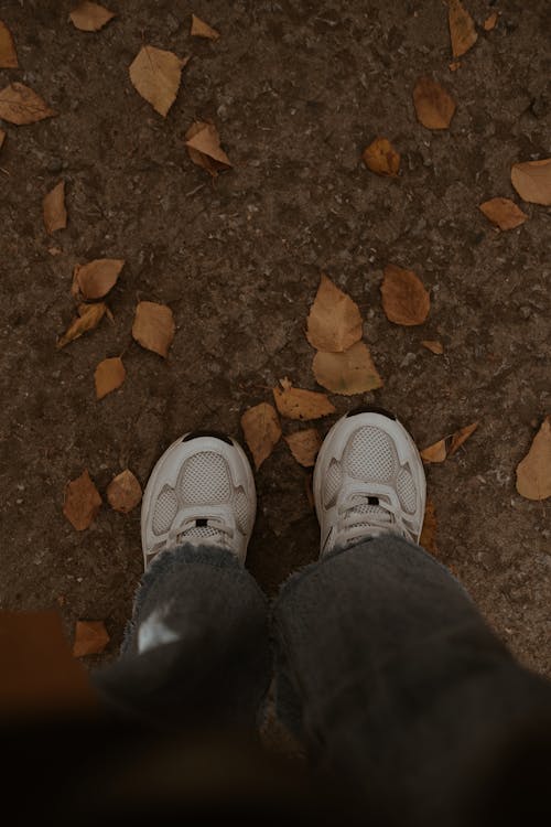 Shoes and Legs of Person Standing on Ground