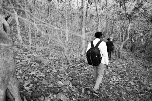 Free Two hikers walking down a forest path covered with leaves in a serene black and white setting. Stock Photo