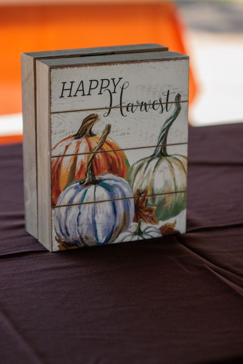 Free Colorful pumpkin illustration on a wooden block celebrating the harvest season. Stock Photo