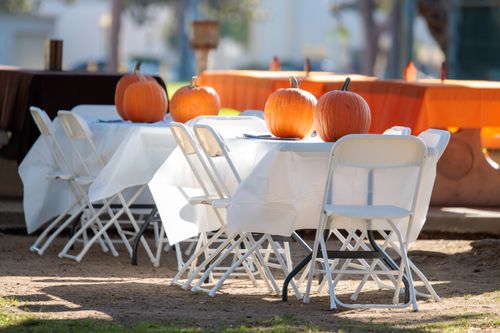 Free Sunlit café scene with pumpkins on tables, perfect for autumn celebrations. Stock Photo