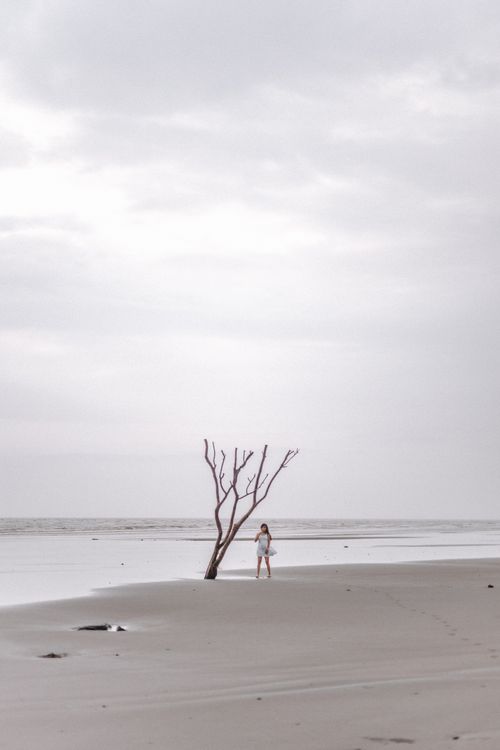 Free A lone woman walks on a quiet beach near a dead tree under a cloudy sky, evoking solitude. Stock Photo