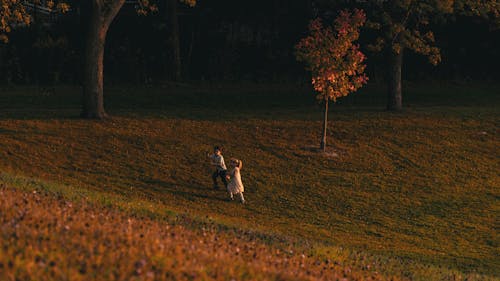 Children Playing at Park in Autumn