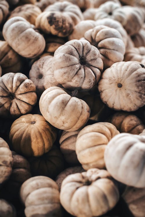 Close up of White Pumpkins