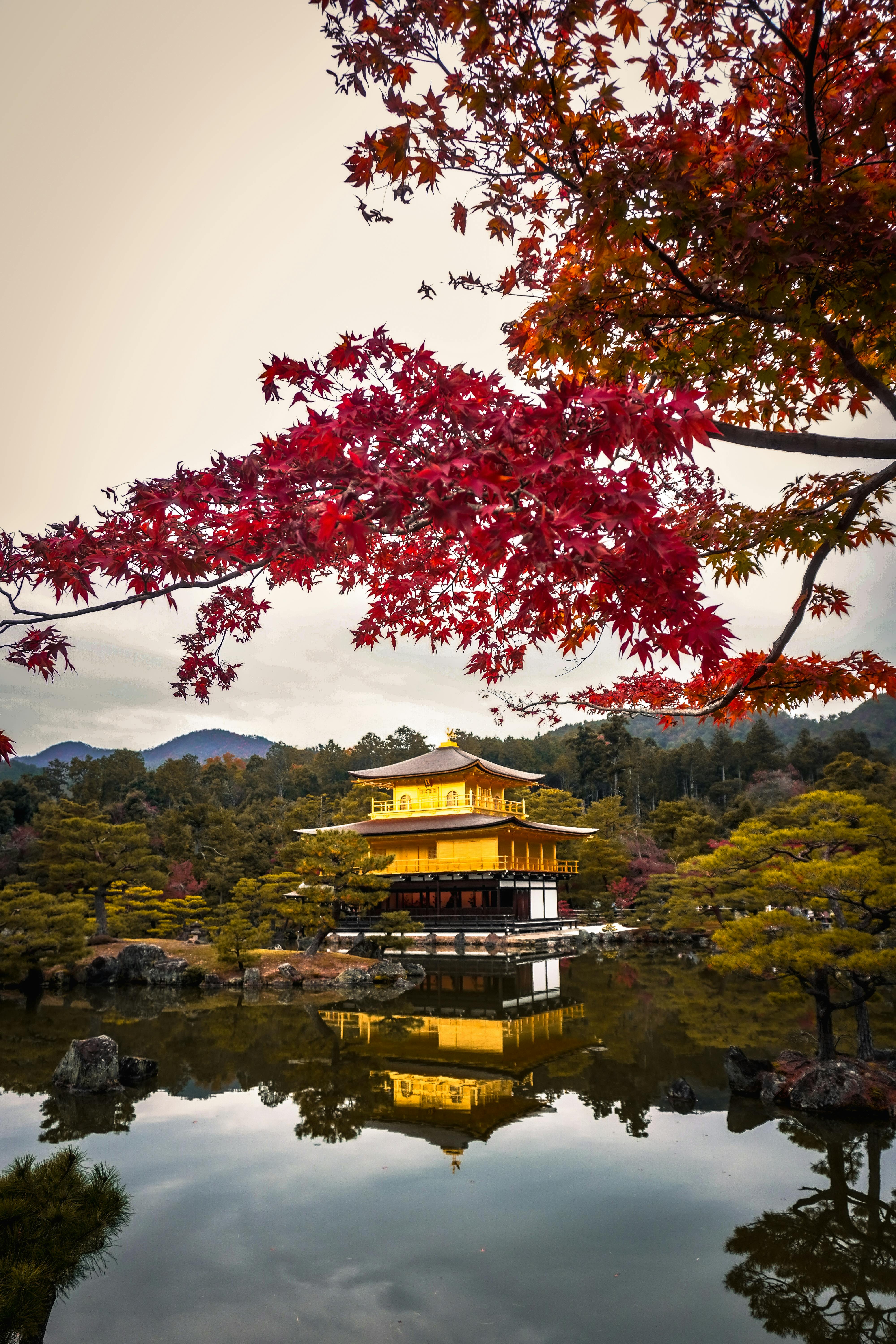 Japanwallpapers · Free Stock Photo, image size:4000x6000