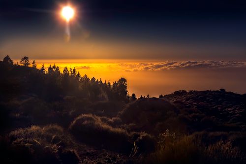 Free Capture of a vibrant sunset over a lush forest in Adeje, Spain, with a golden sky and vibrant clouds. Stock Photo