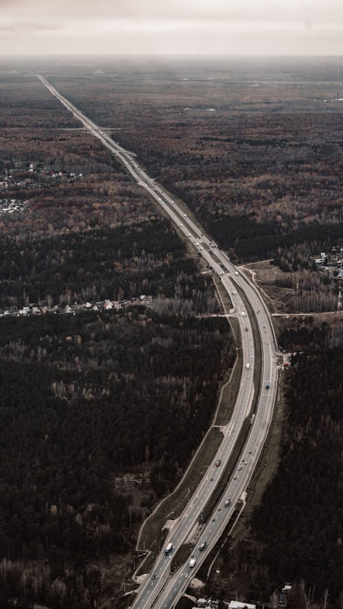 Highway Among Coniferous Trees