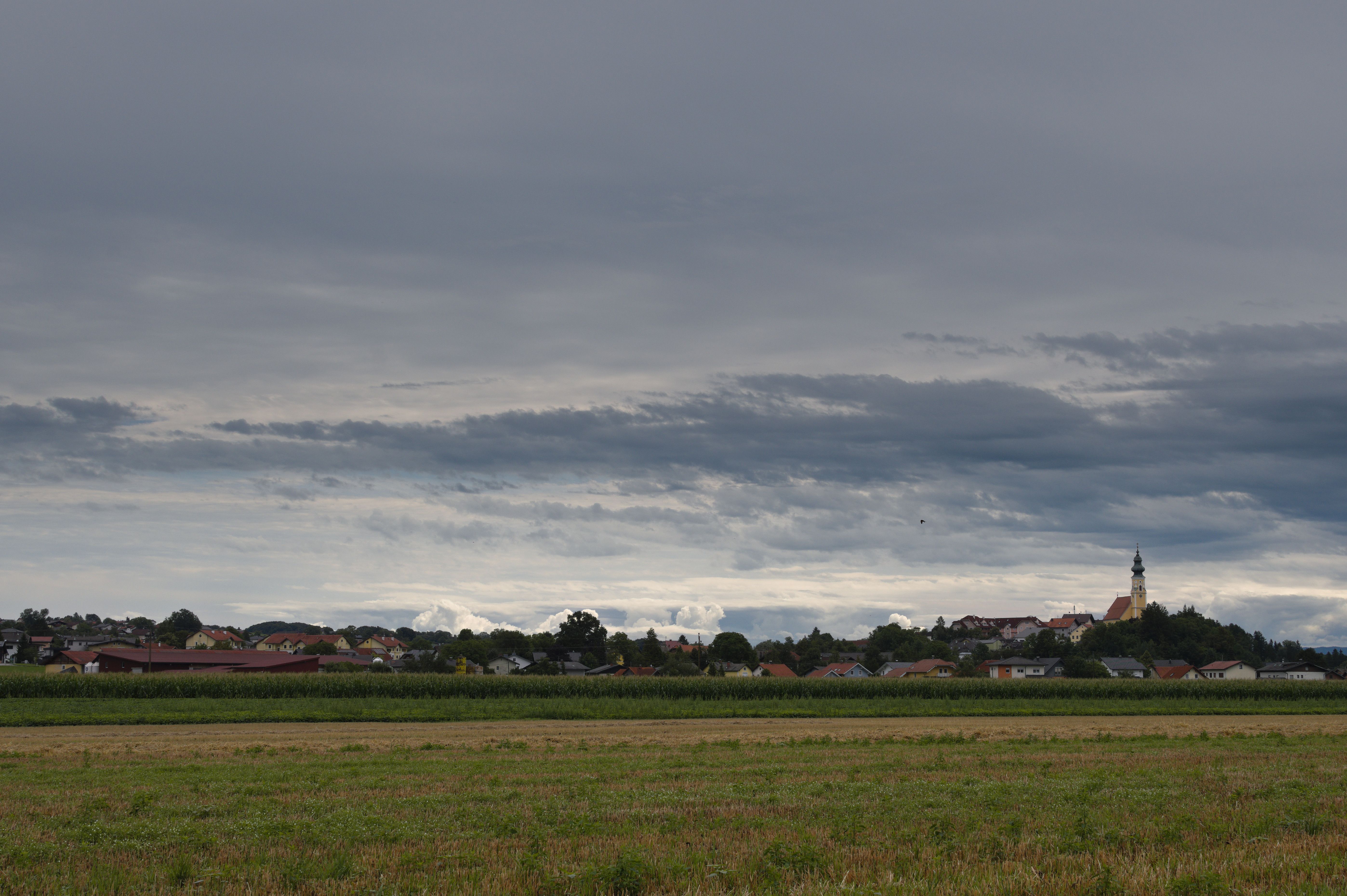 Riedlingsdorf