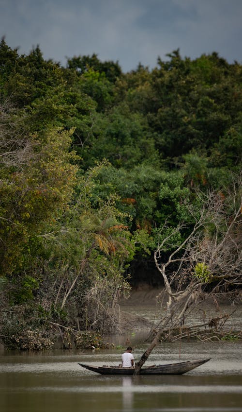 Immagine gratuita di alberi, barca, canoa