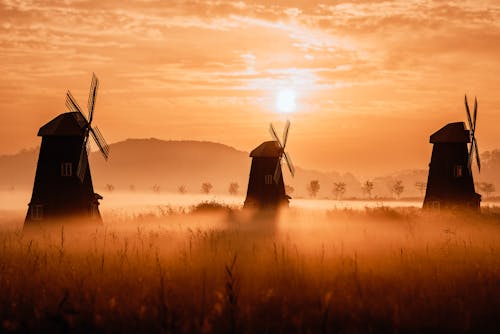 Silhouettes of Mills on a Field 