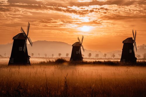 Free Three windmills stand silhouetted against a stunning sunset in a misty rural field. Stock Photo