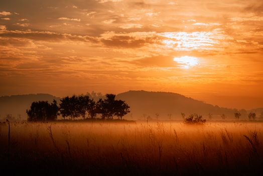 A picturesque sunrise with silhouettes of trees and fog over a rural landscape, creating a serene atmosphere.