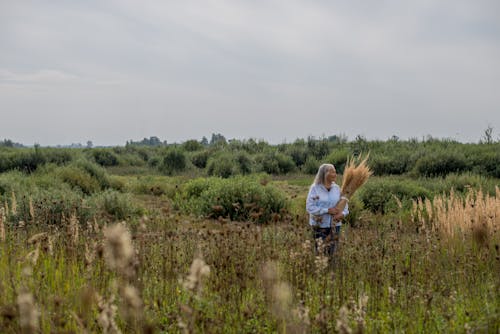 Fotobanka s bezplatnými fotkami na tému balík, dedinský, divé kvety