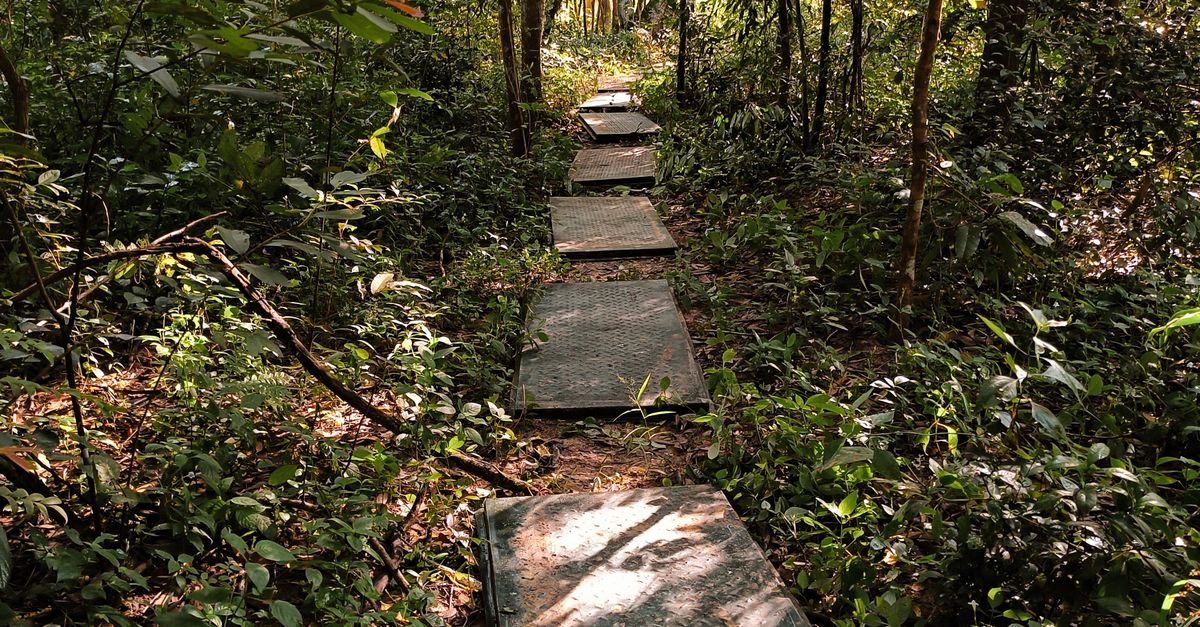 Sheet Metal Footpath in Forest · Free Stock Photo