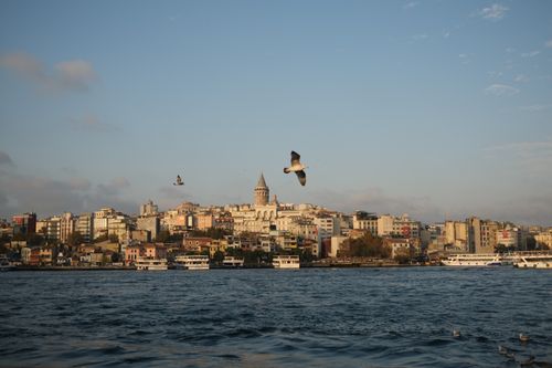Free View of Istanbul's skyline featuring Galata Tower with seagulls flying over the Bosporus. Stock Photo