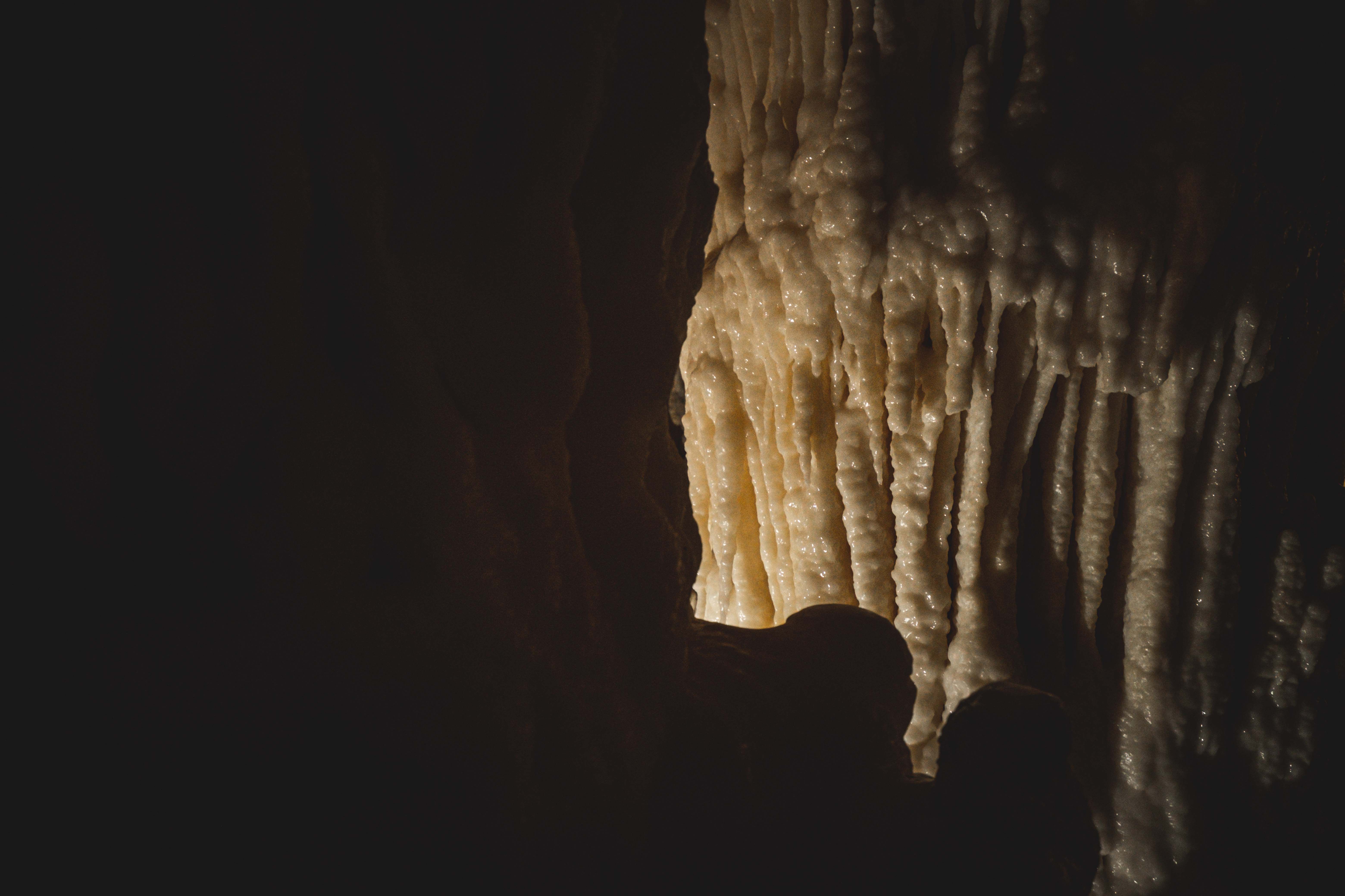 Grotte Isturitz-Oxocelhaya : Guide Visite 2026
