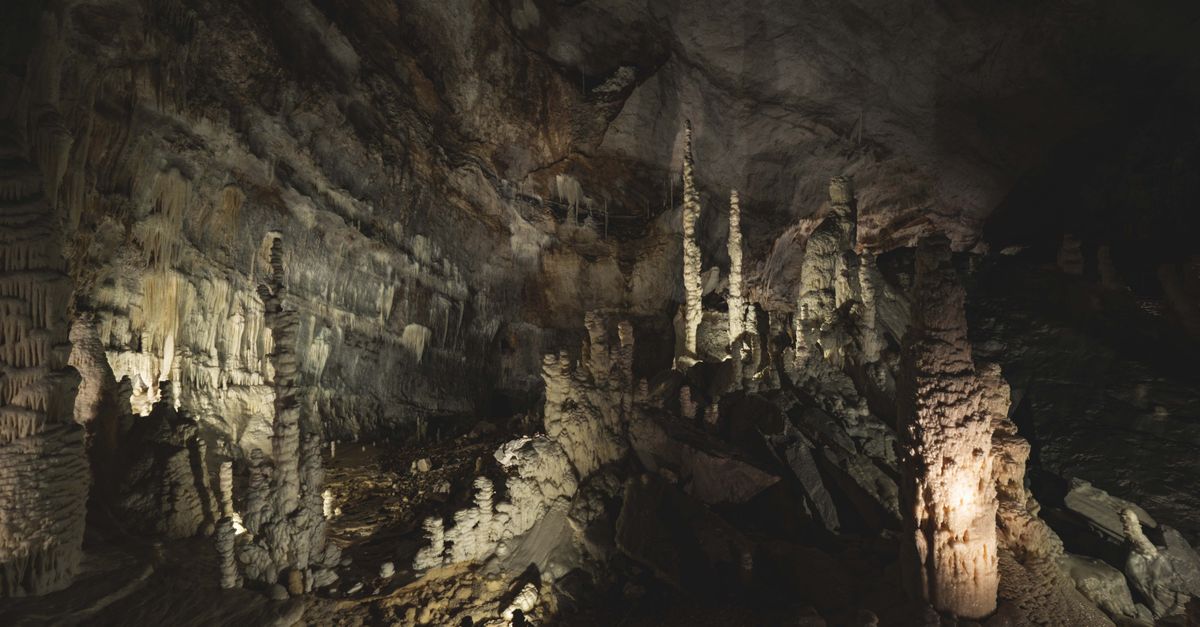 Grotte d’Oxocelhaya : Guide Visite Complète