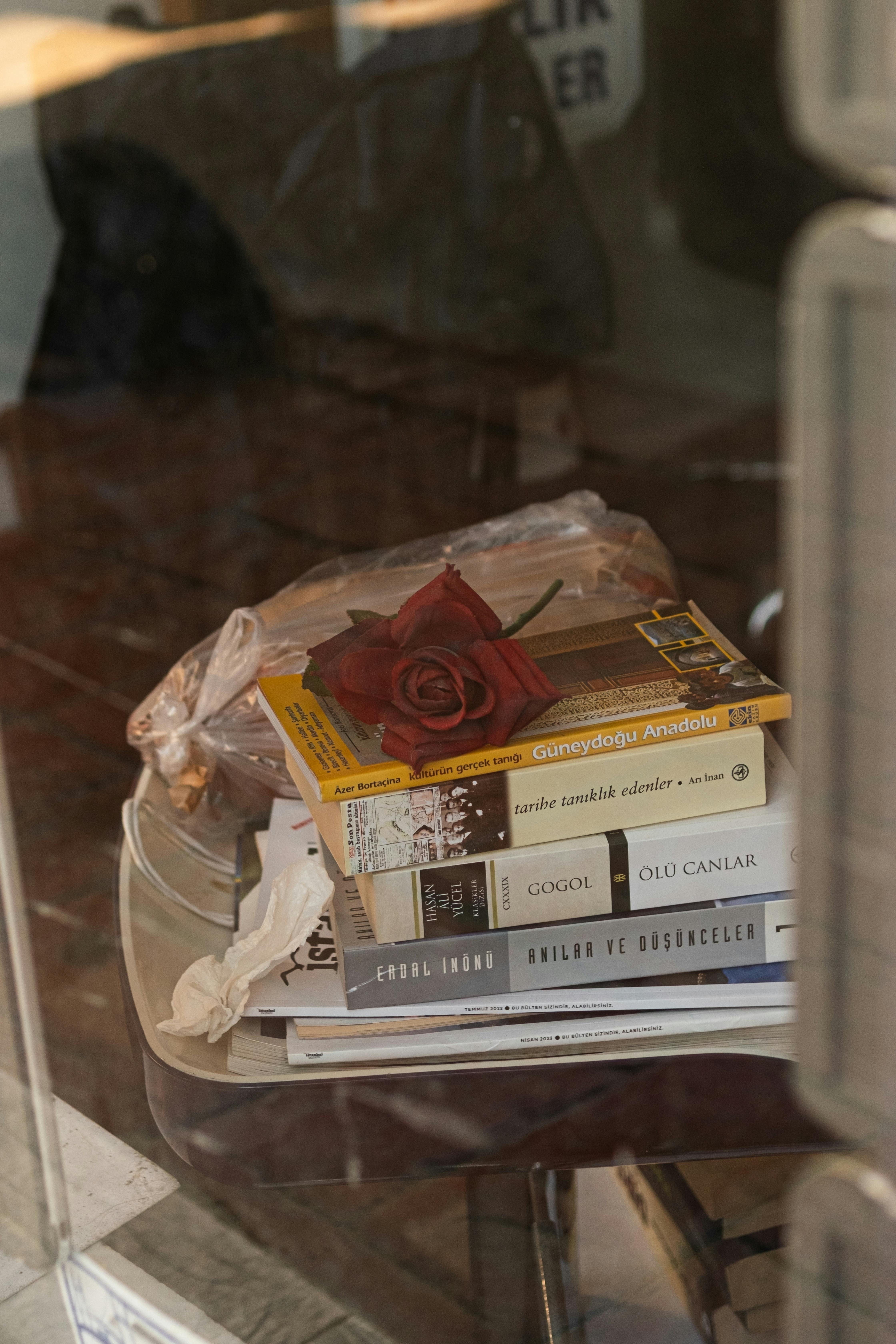 A serene still life featuring stacked books and a red rose on a table seen through a window.