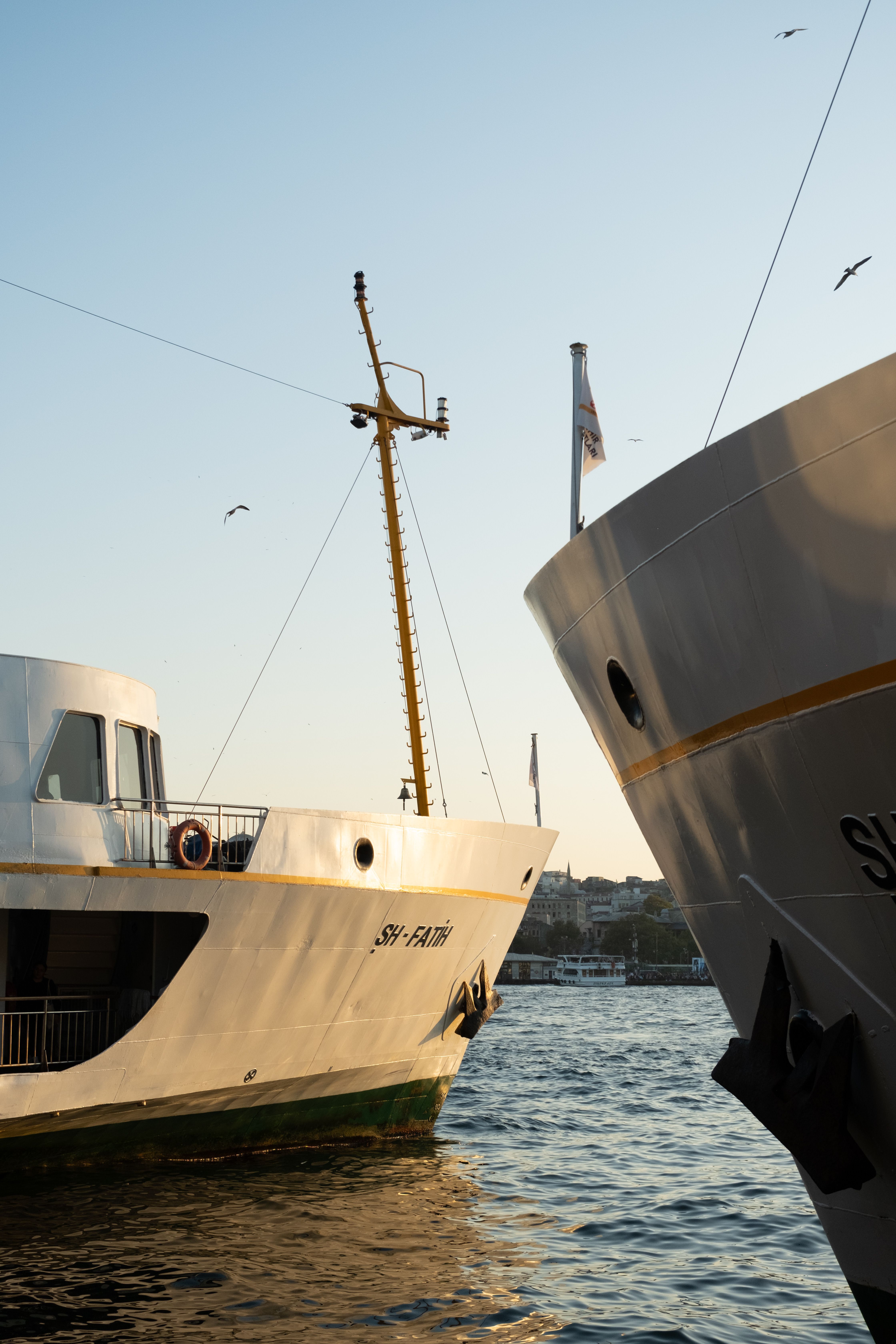 Ships docked in a peaceful harbor during sunset with seagulls flying overhead.