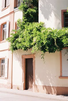 A picturesque townhouse entrance adorned with vibrant green foliage in daylight.