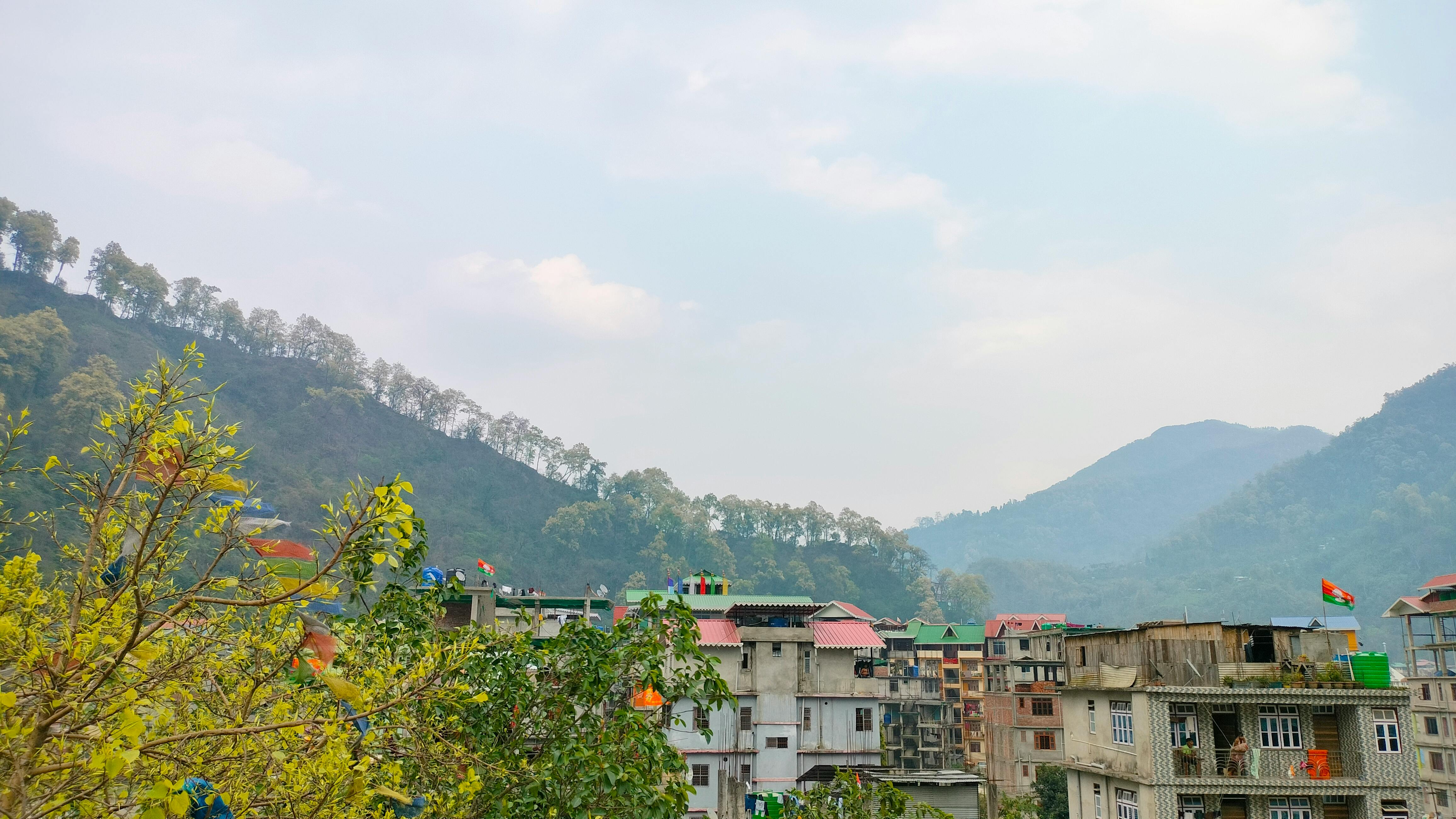 Marine life swimming near suspended plastic particles in the water
