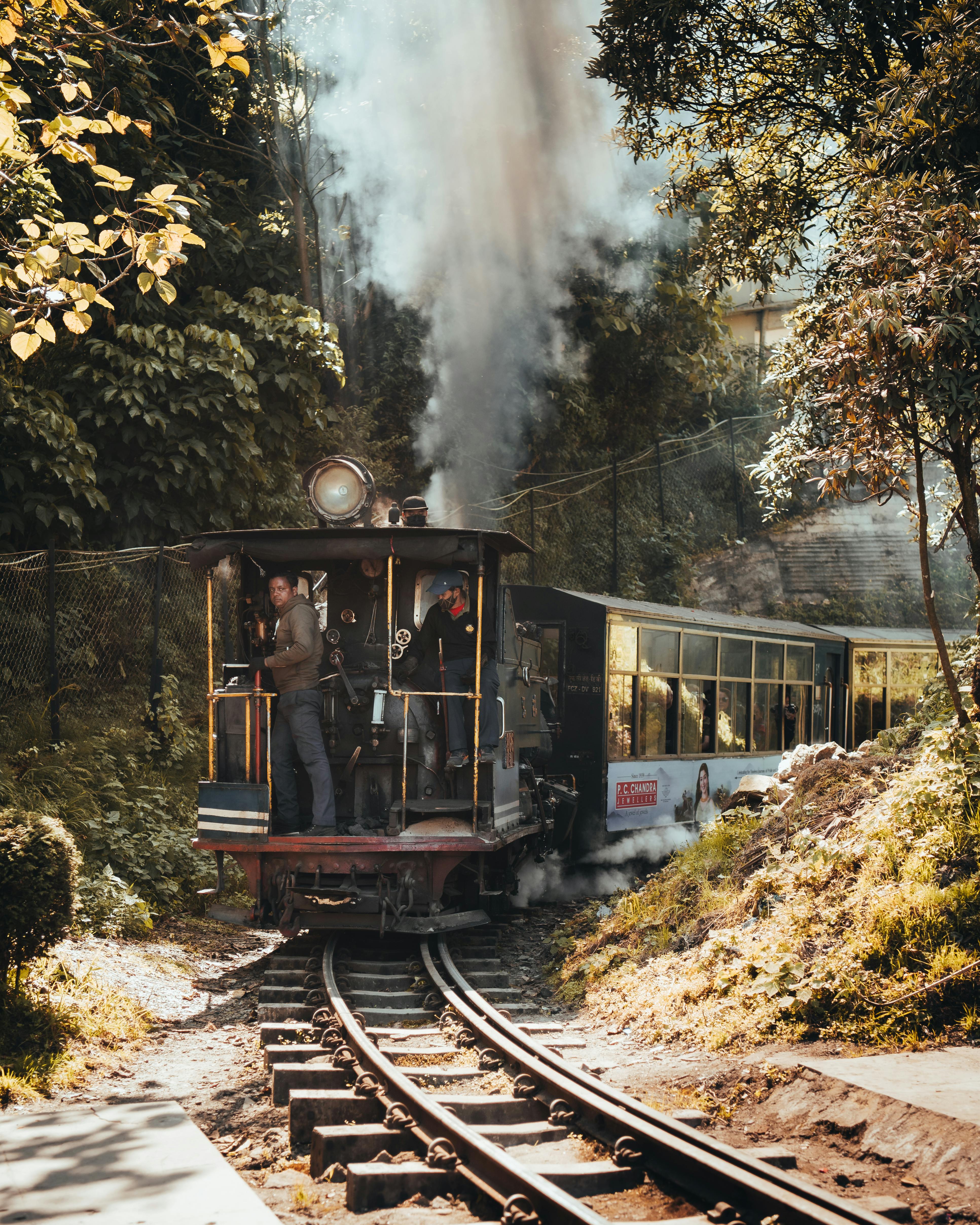 A vintage steam locomotive chugs through a lush forest in Darjeeling, India.
