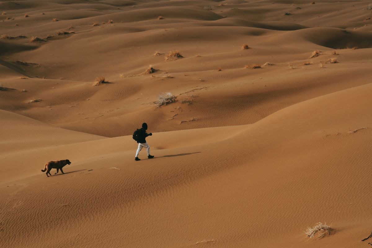 A handler and her search dog walking together across a vast expanse of sandy desert, scattered dry scrub breaking up the open ground.