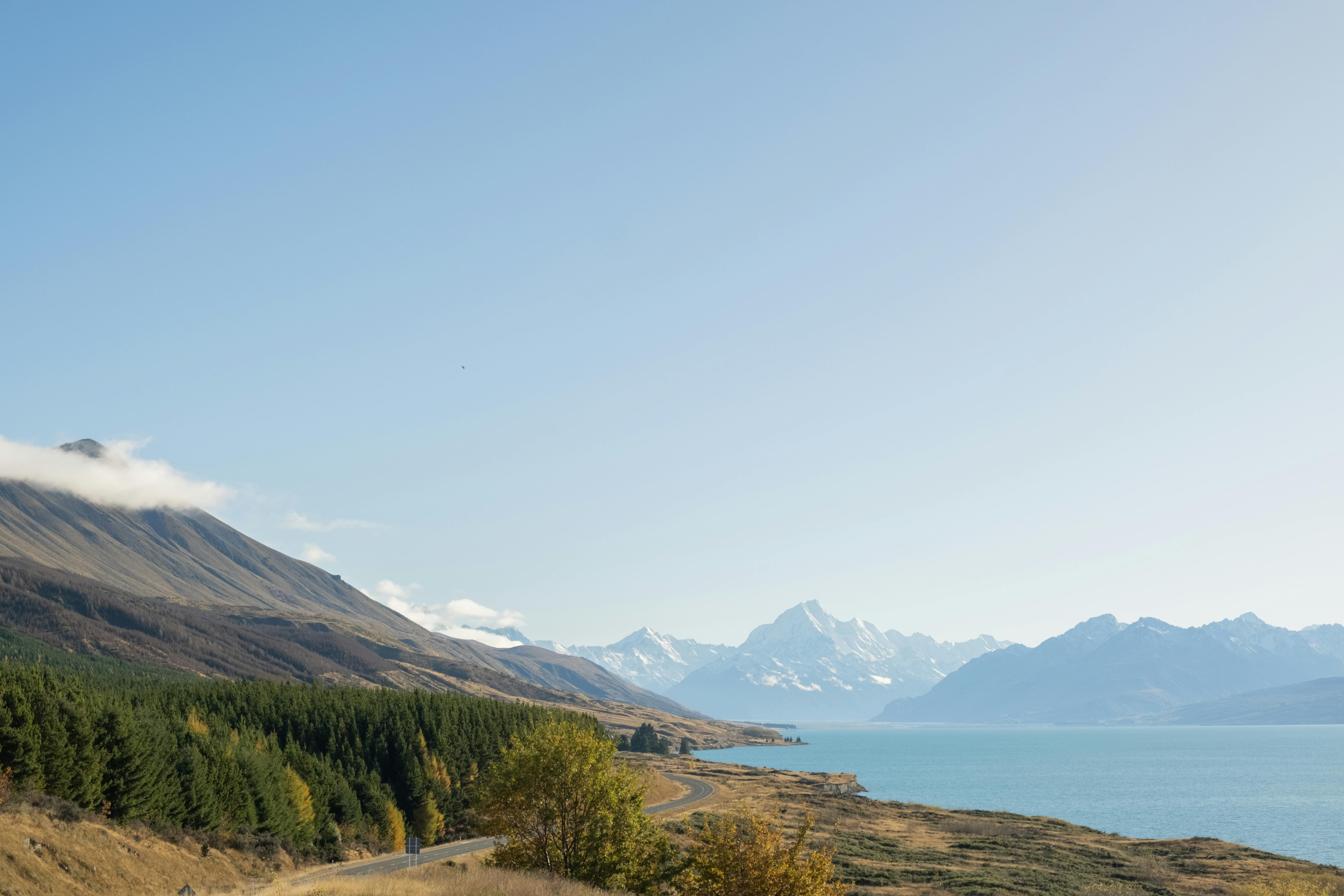 general travel new zealand — Photo by Shashank Brahmavar on Pexels