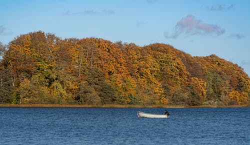 Fotobanka s bezplatnými fotkami na tému jazero, jeseň, les