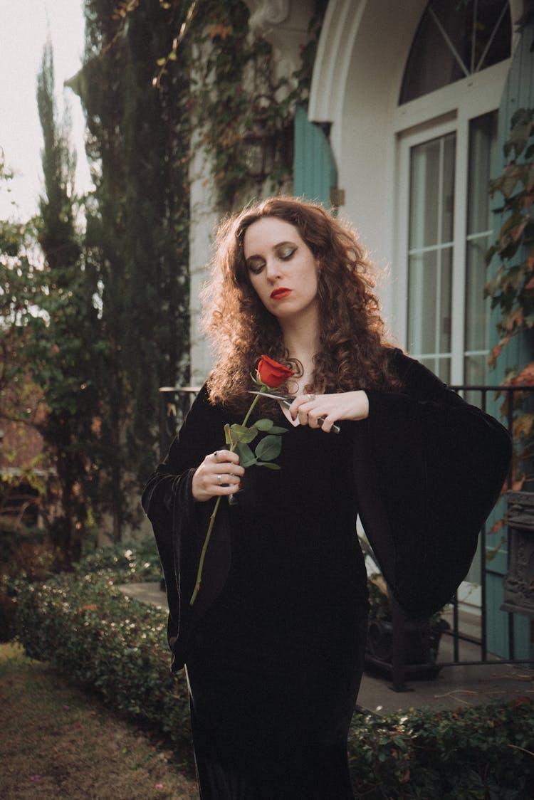 Woman Standing In Garden Cutting Red Rose With Sears