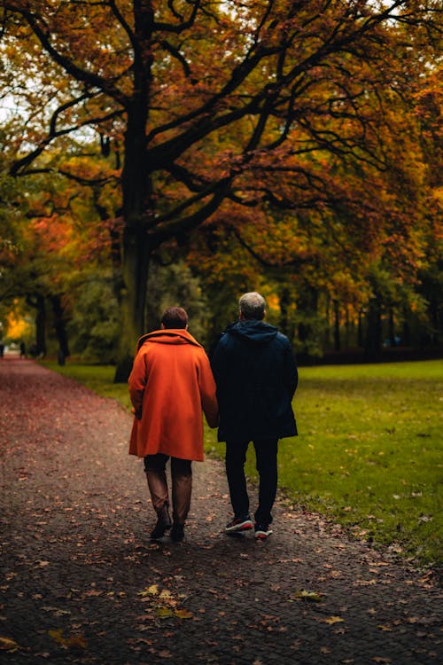 Back View of Couple Walking at Park in Autumn