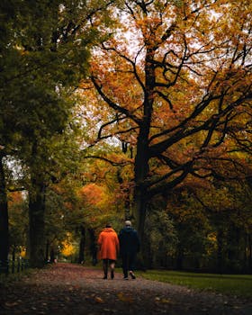 Couple walking in a Berlin park during autumn, surrounded by colorful foliage.
