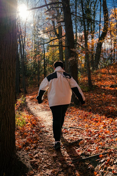 Person Hiking in Forest at Sunset in Autumn