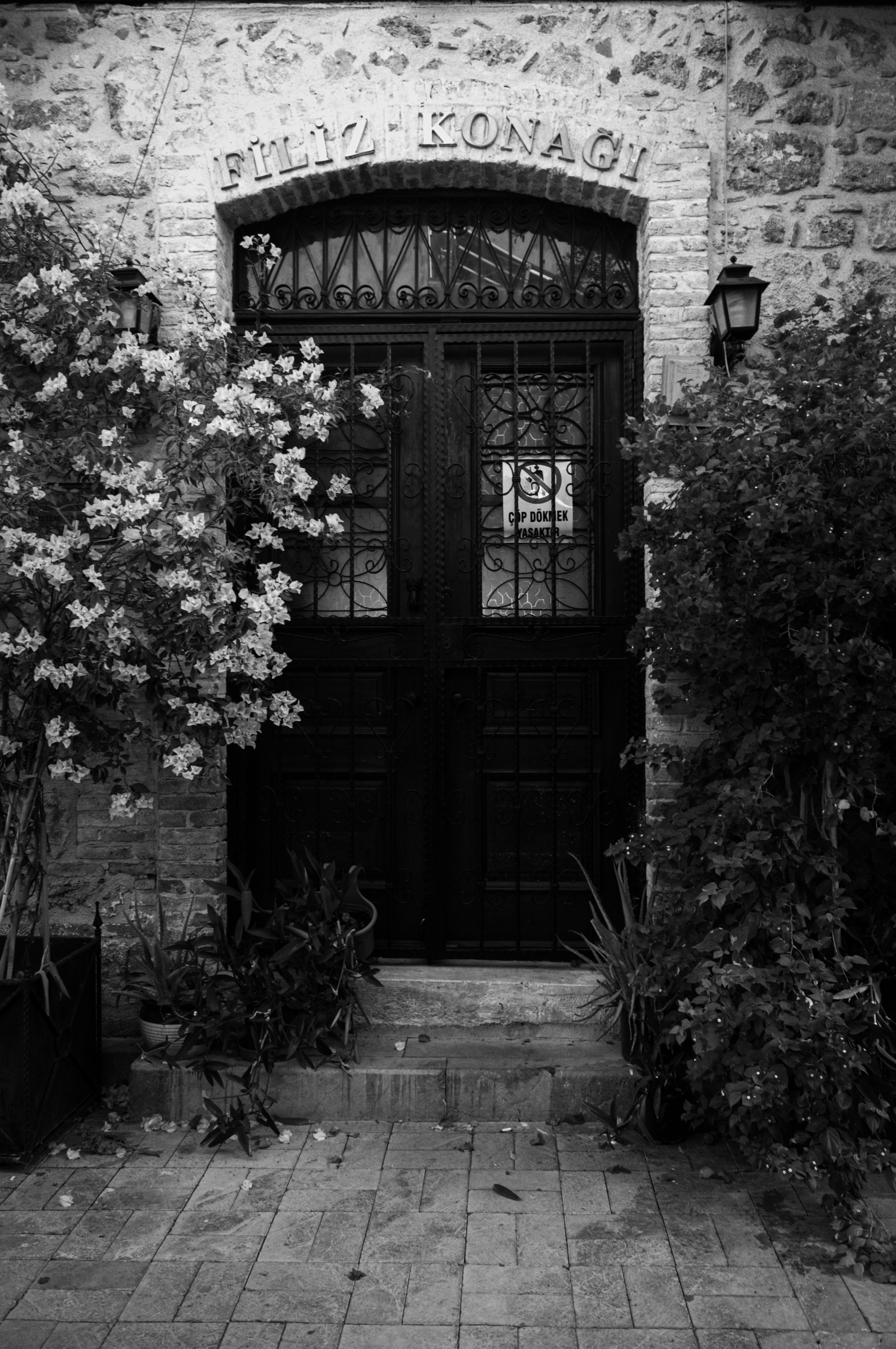 Black and white photo of a vintage iron door surrounded by bushes.