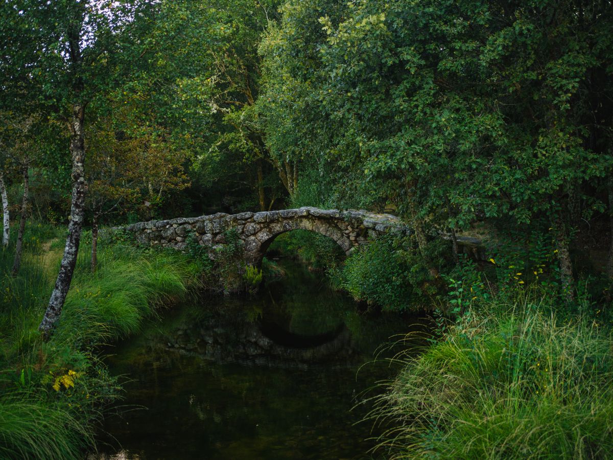 6 Day Wellness, Yoga and Pilates Retreat in Porto, Portugal 3